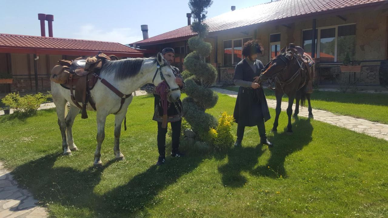 Zedazeni Hotel Mtsʼkhetʼa Extérieur photo